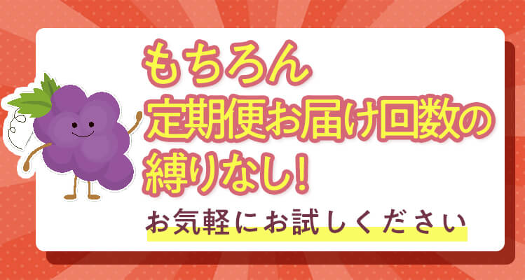 定期回数の縛りなしお気軽にお試しください